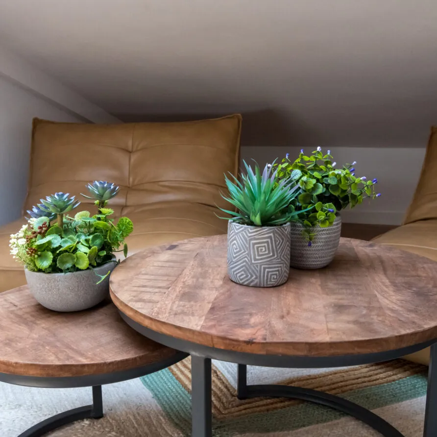 Cohausing Cabanyal - Modern Coliving by the Beach in Valencia - Image 15