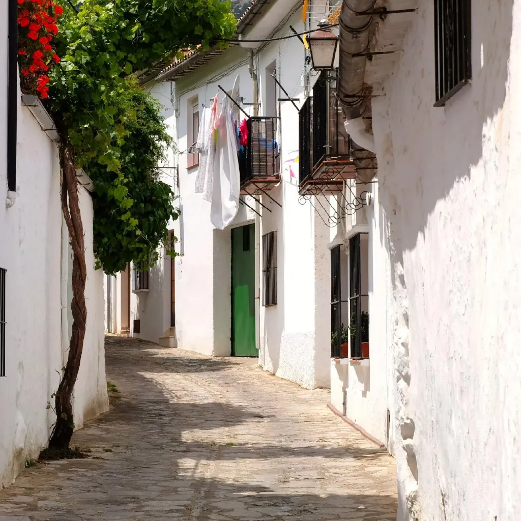 Worklife Coliving - Rural Luxury & Coworking in Grazalema, Spain - Image 2