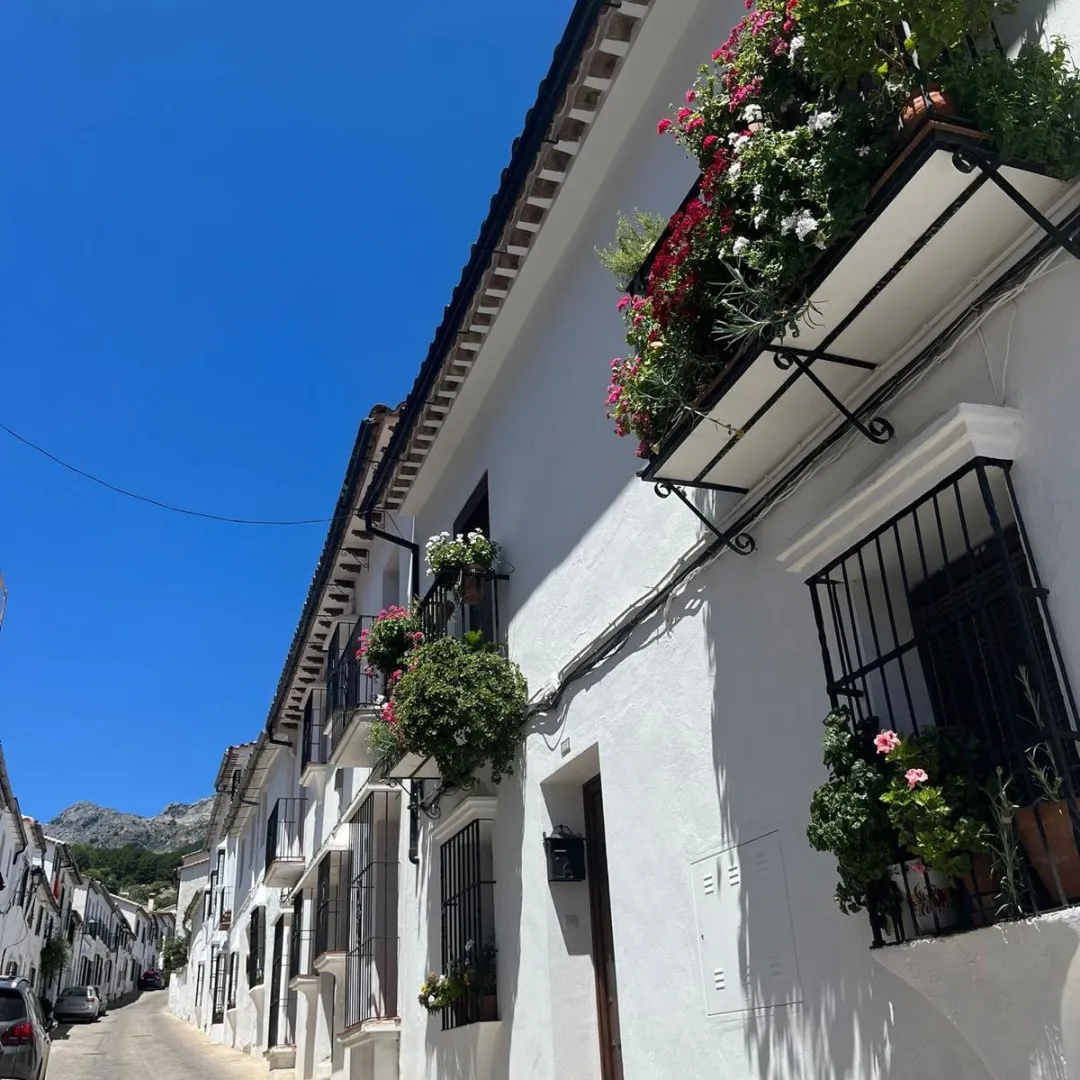 Worklife Coliving - Rural Luxury & Coworking in Grazalema, Spain - Image 7