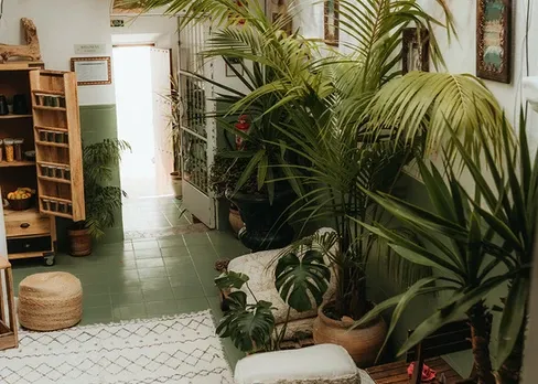 Nomadico Tarifa - Historic Old Town Coliving in Spain - Image 10