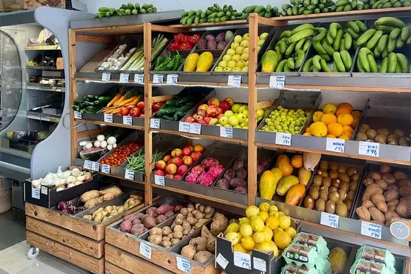 EcoIsleta Coliving Canaries - Sustainable Community in Las Palmas - Image 1