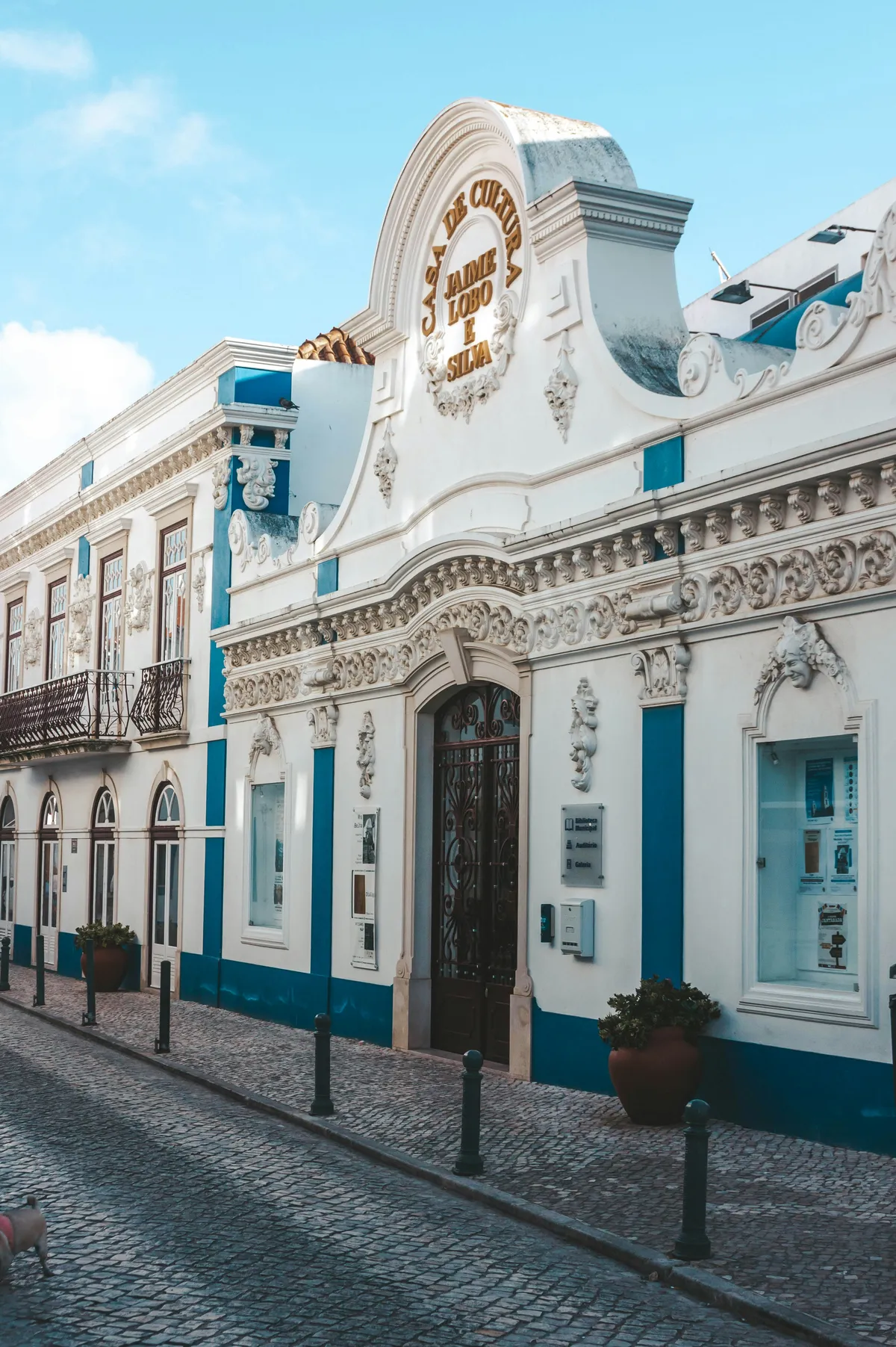 Wild Souls Coliving - Coastal Community & Coworking in Ericeira - Image 11