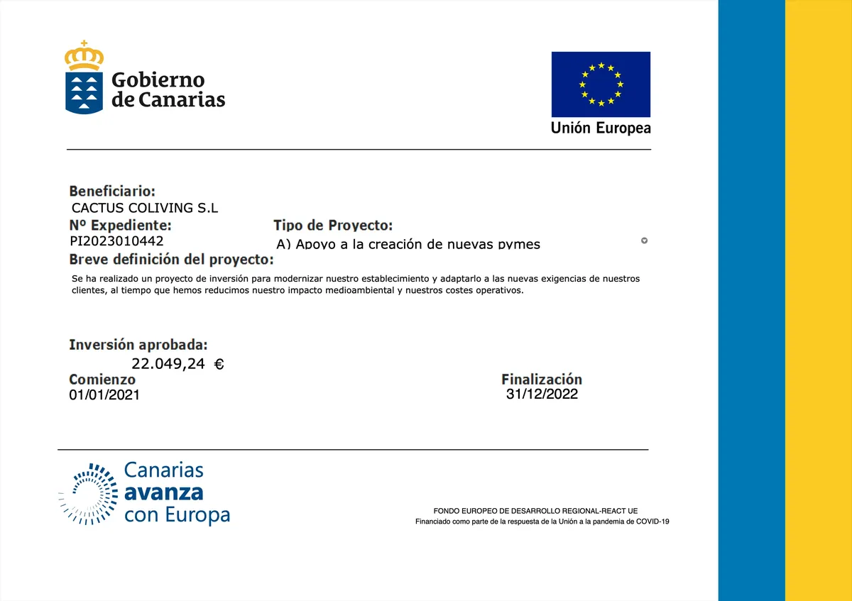 Cactus Coliving Tenerife - Authentic Canarian Living for Digital Nomads - Image 15