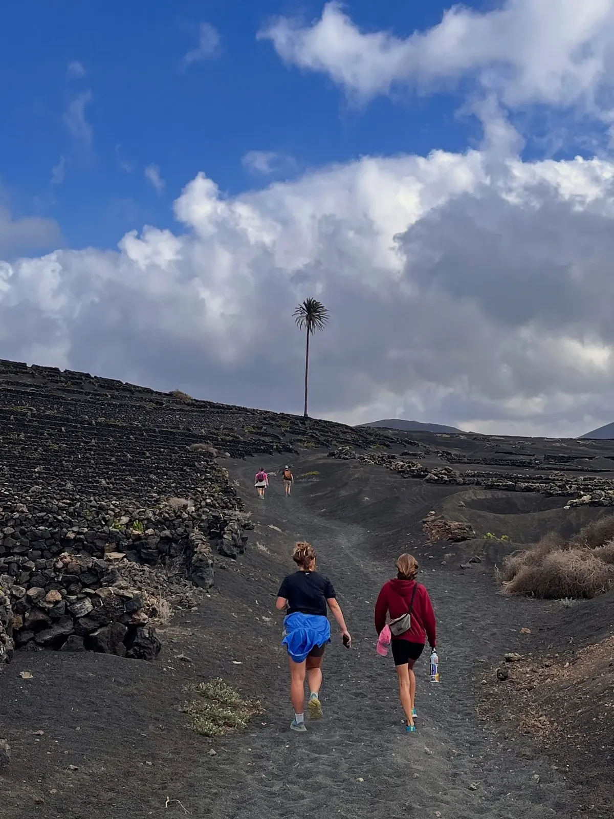Pitaya Coliving - A Vibrant Island Community in Arrecife, Lanzarote - Image 9