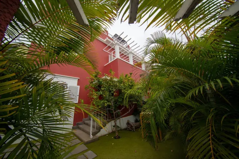 La Luna Coliving - Urban Oasis in Santa Cruz de Tenerife - Image 11