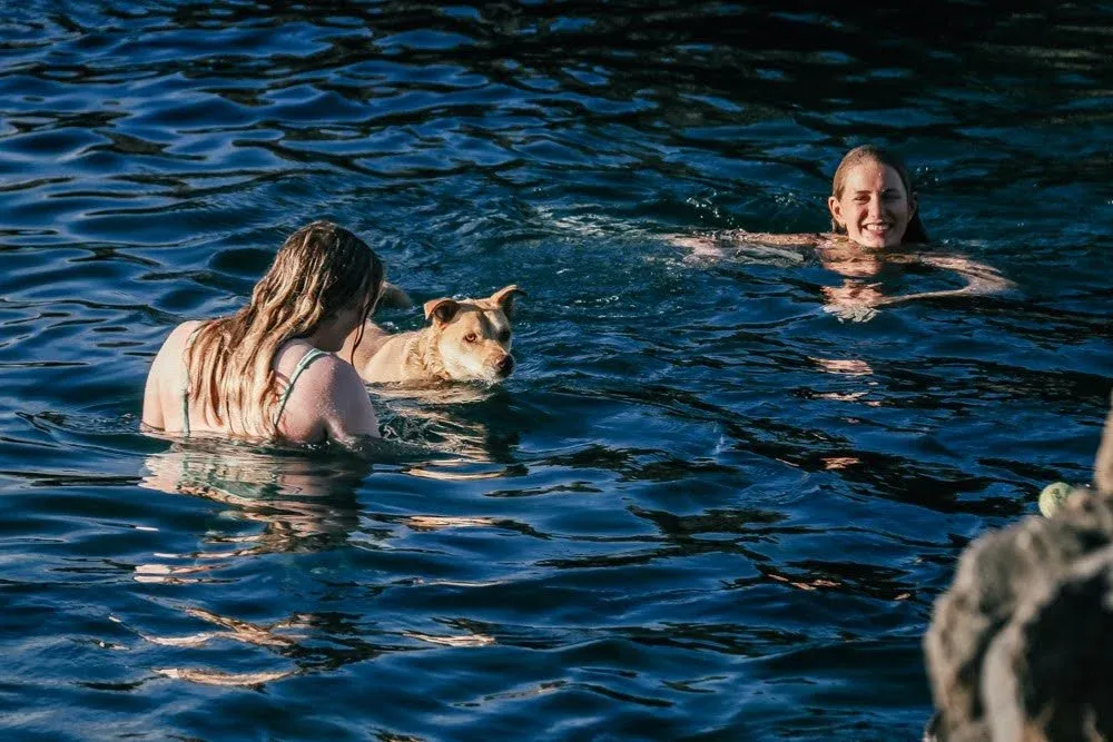 Nine Coliving - Historic Canarian Mansion in La Orotava, Tenerife - Image 8