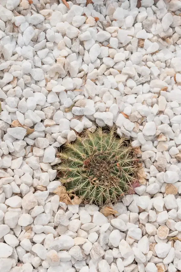 COCO Coliving & Coworking Costa Blanca - Mountain & Sea Retreat in Dénia - Image 4