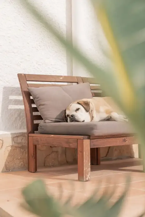 COCO Coliving & Coworking Costa Blanca - Mountain & Sea Retreat in Dénia - Image 6