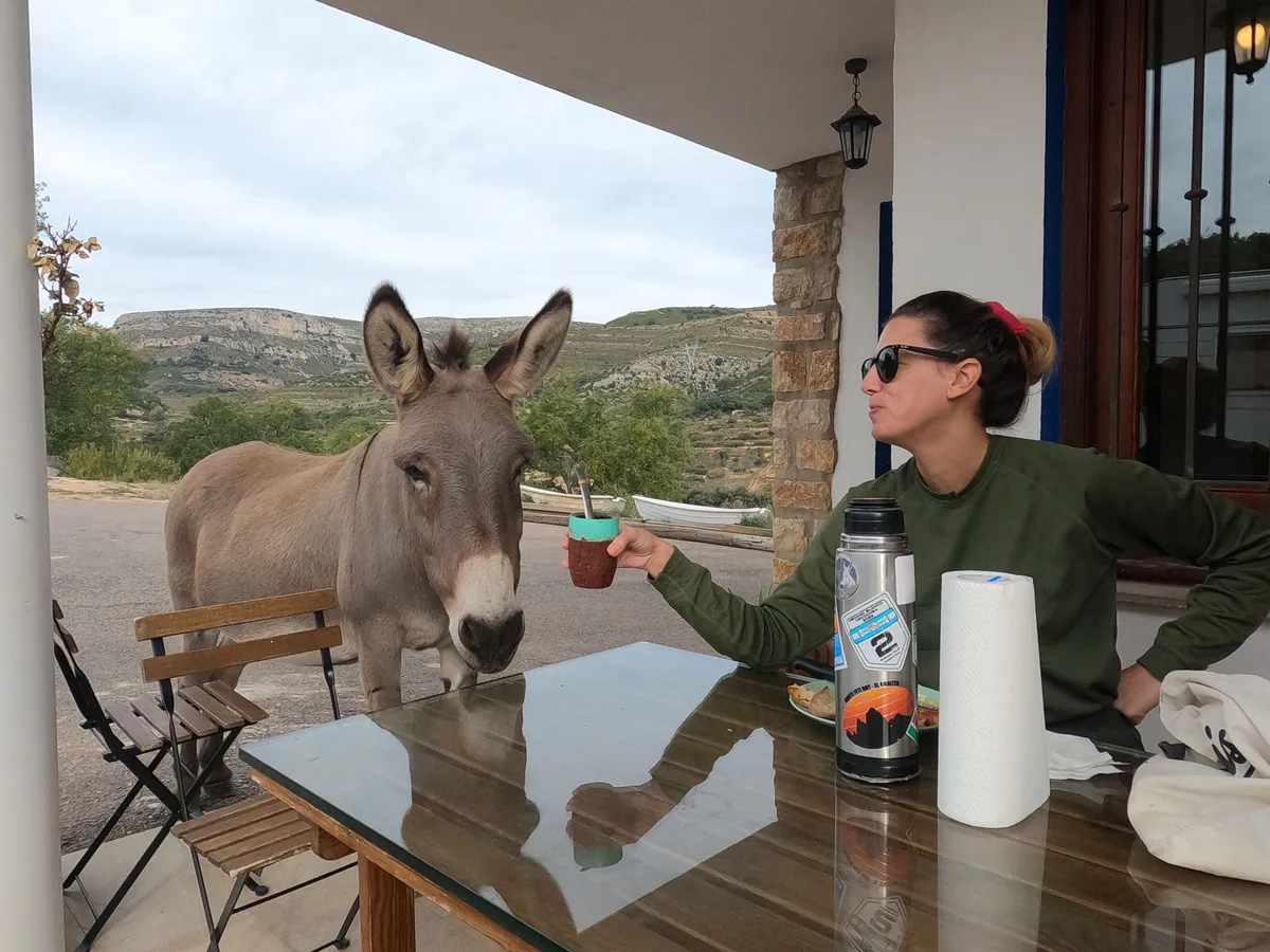 Ruralco Coliving - Your Natural Escape in Rural Spain - Image 14