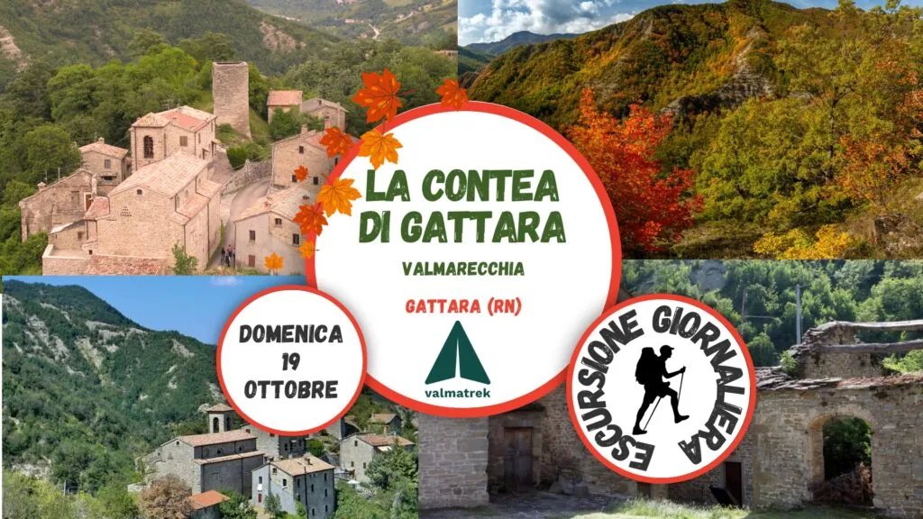 Ca'Co Coliving – Rural Community & Coworking in the Italian Apennines - Image 7