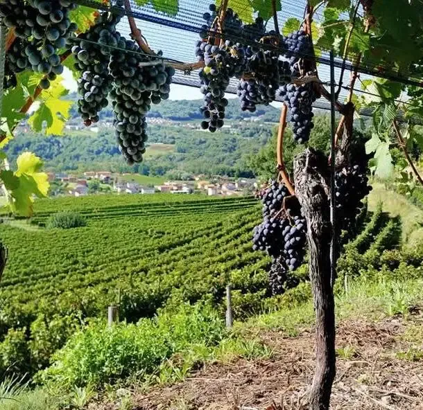 CoLoft Tuscany - Serene Coworking & Coliving in the Tuscan Hills - Image 10