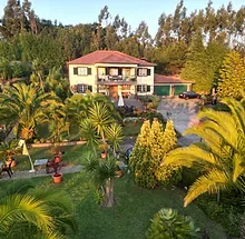 Homeoffice Madeira - Island Coliving & Coworking Villa - Image 6