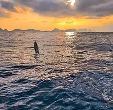 Homeoffice Madeira - Island Coliving & Coworking Villa - Image 8