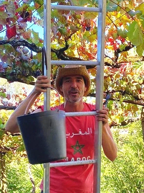 Court of Cavalum - Creative Coliving & Artist Residency in Rural Portugal - Image 11