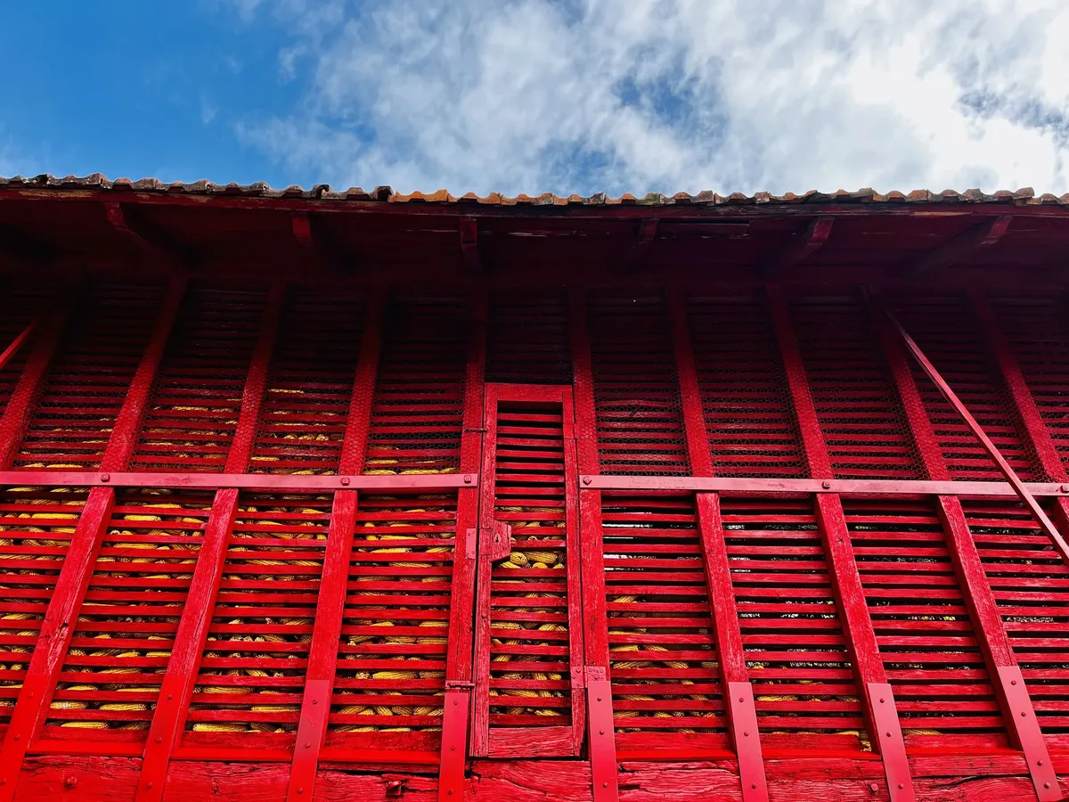 Court of Cavalum - Creative Coliving & Artist Residency in Rural Portugal - Image 4