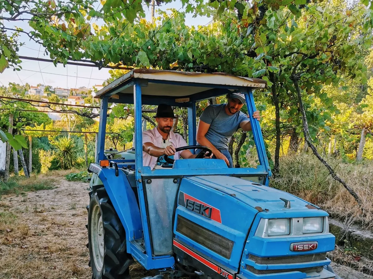 Court of Cavalum - Creative Coliving & Artist Residency in Rural Portugal - Image 10