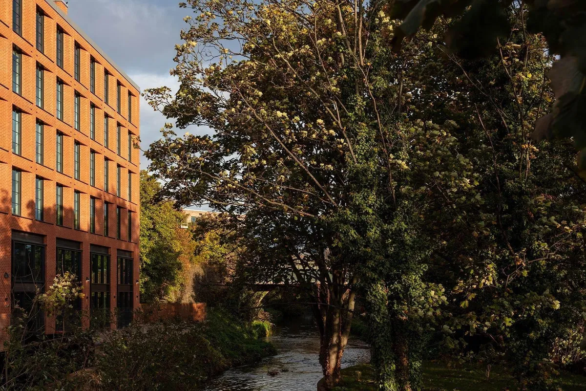 Folks Coliving Valencia - A Home for Digital Nomads in Spain - Image 16