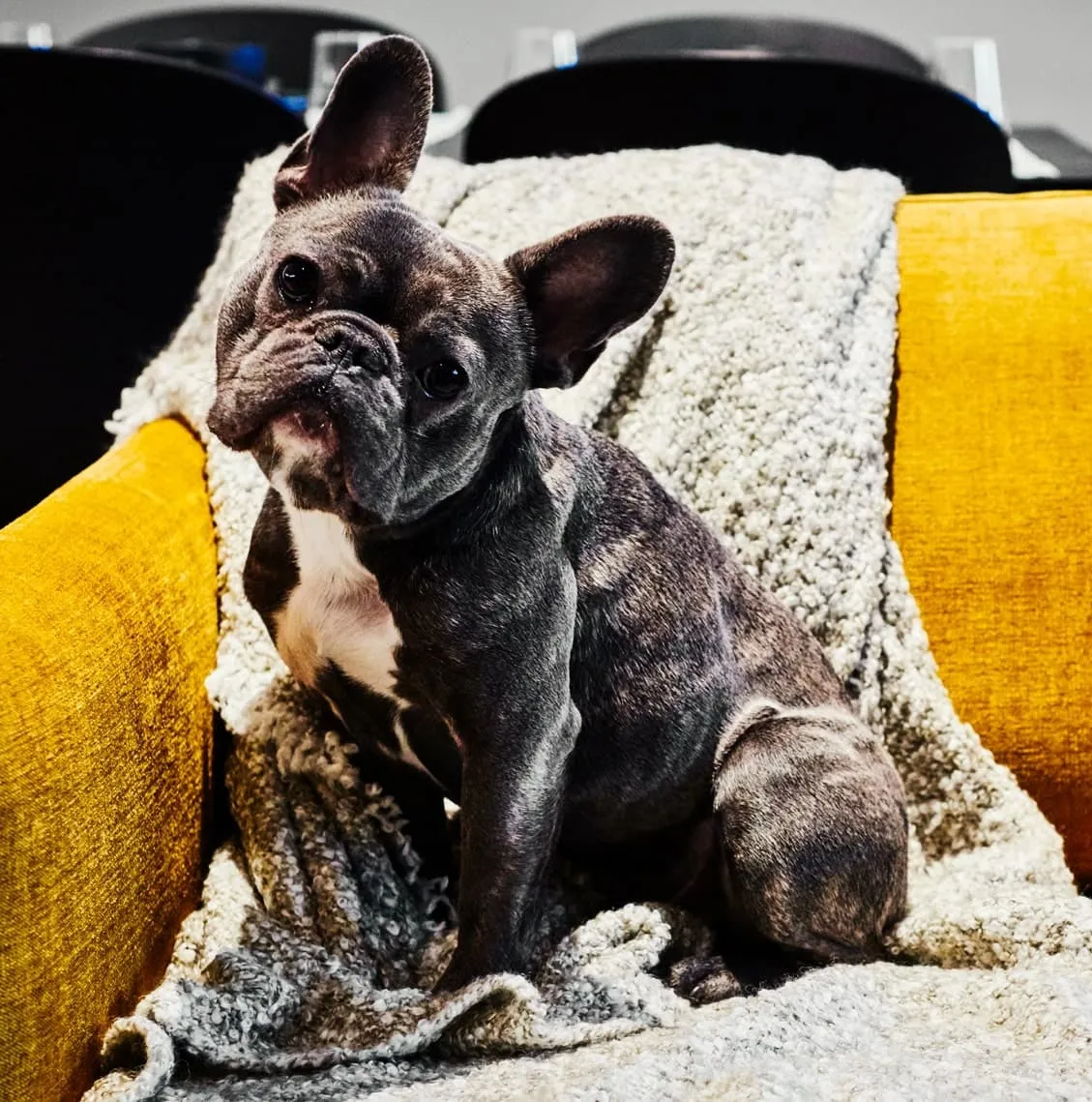 UNCLE Colindale - Premium Coliving in North-West London - Image 2