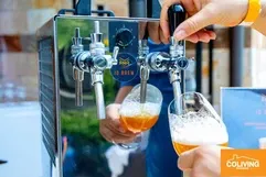 Coliving Bansko - Mountain Retreat in Bulgaria - Image 12