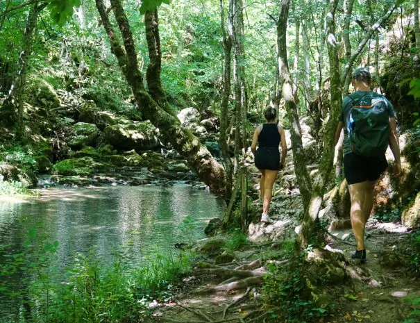 Burgas Coliving & Coworking - A Tranquil Oasis on Bulgaria's Black Sea Coast - Image 12