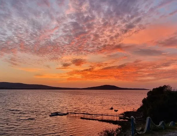 Burgas Coliving & Coworking - A Tranquil Oasis on Bulgaria's Black Sea Coast - Image 9