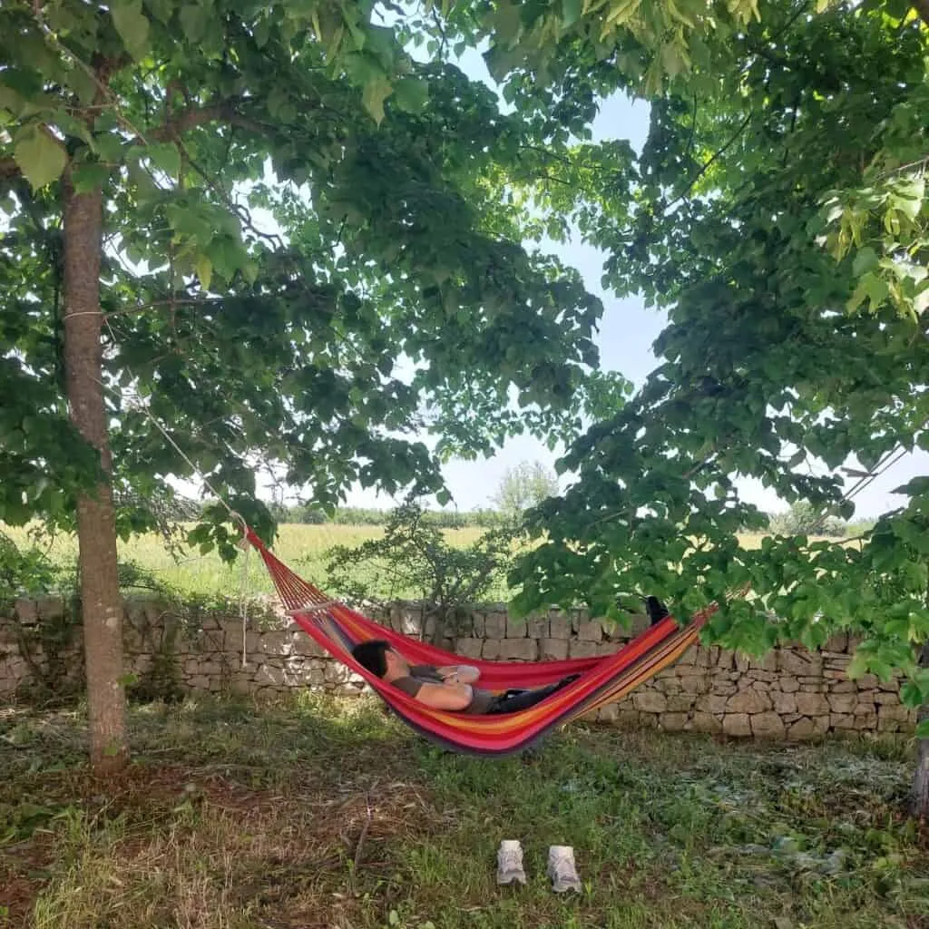 Masseria Olga - Rural Coliving in Puglia, Italy - Image 7