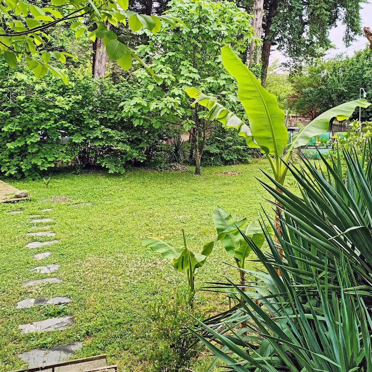 Gumbrini Coliving - Eco-Friendly Nature Retreat near Kutaisi - Image 11