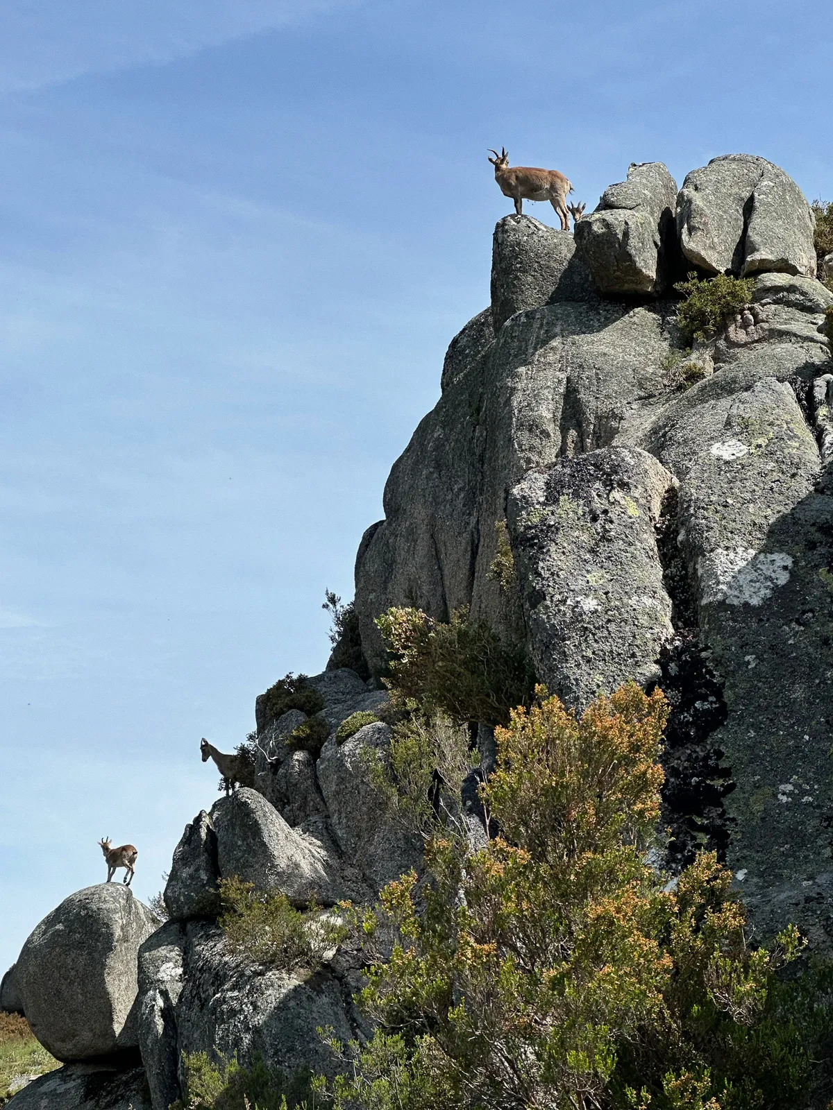 Sende Lobeira - Rural Coliving & Coworking in Galicia - Image 12