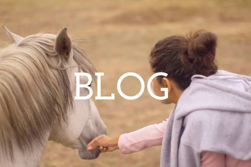 Sende Lobeira - Rural Coliving & Coworking in Galicia - Image 4