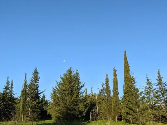 Bela Vista Coliving - Authentic Algarve Retreat with Sea Views - Image 15