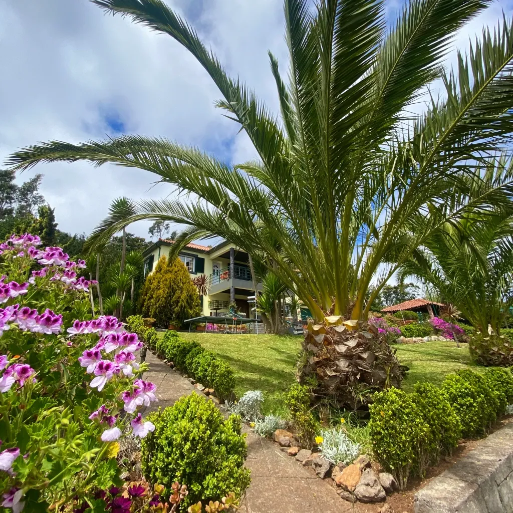 Quinta do Cabeço Alto - Countryside Coliving & Coworking in Madeira - Image 1