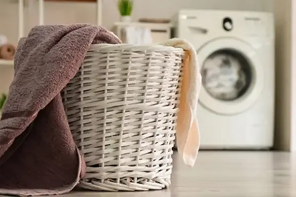 Quinta do Cabeço Alto - Countryside Coliving & Coworking in Madeira - Image 7