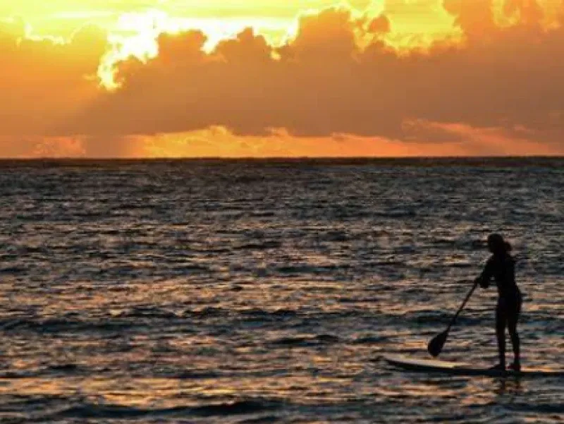 Enter Coliving Barcelona - Modern Community Living in the Heart of the City - Image 3