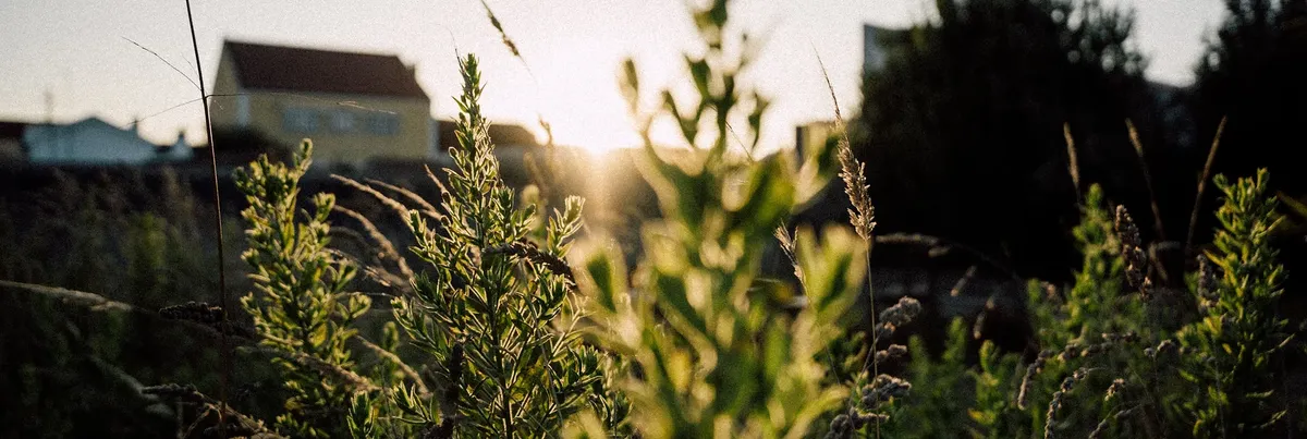 Vivenda Felicidade - Regenerative Coliving Farm in Sintra - Image 1