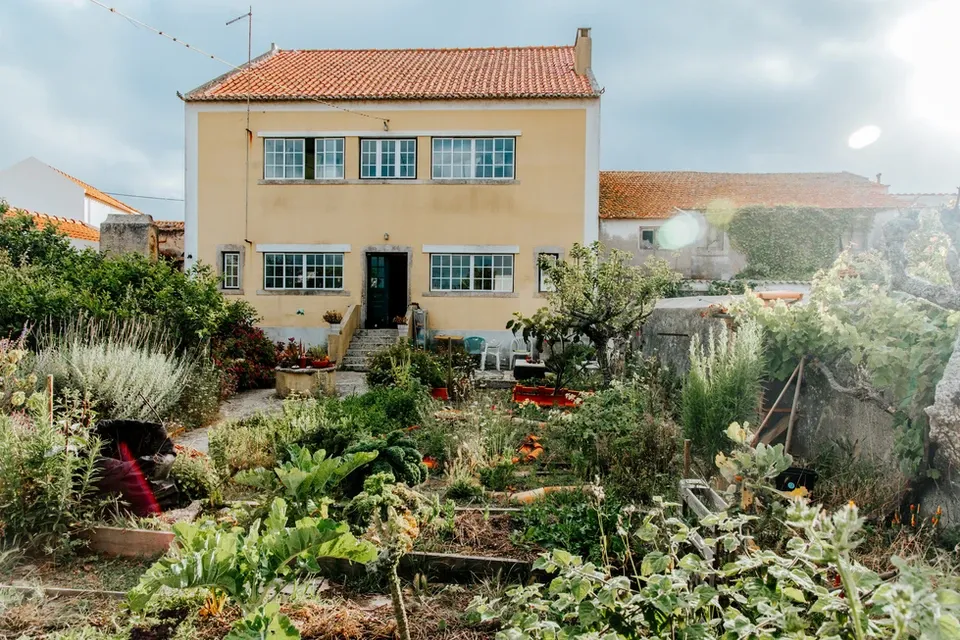 Vivenda Felicidade - Regenerative Coliving Farm in Sintra - Image 5