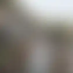 Circles House Barcelona - Boutique Coliving for Conscious Entrepreneurs - Image 13