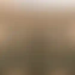 Circles House Barcelona - Boutique Coliving for Conscious Entrepreneurs - Image 15